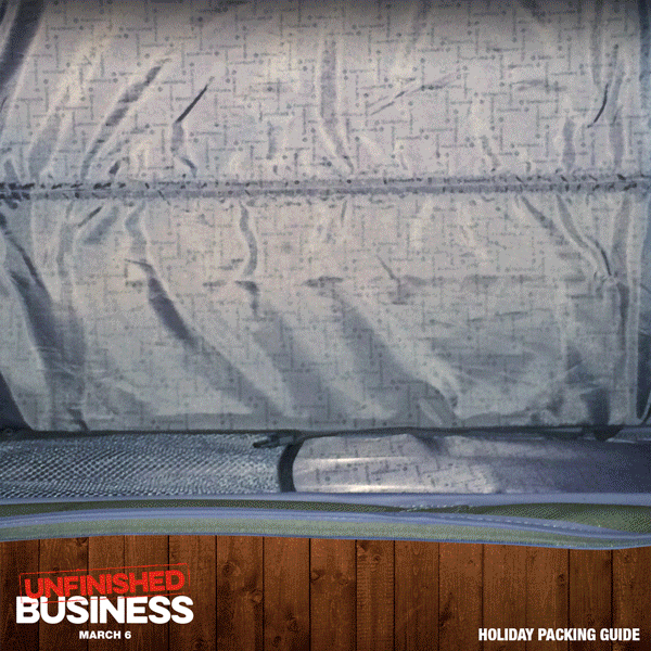 FOX | UNFINISHED BUSINESS - DESIGN & ANIMATION