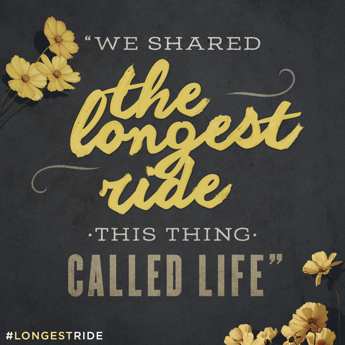 FOX | THE LONGEST RIDE - DESIGN