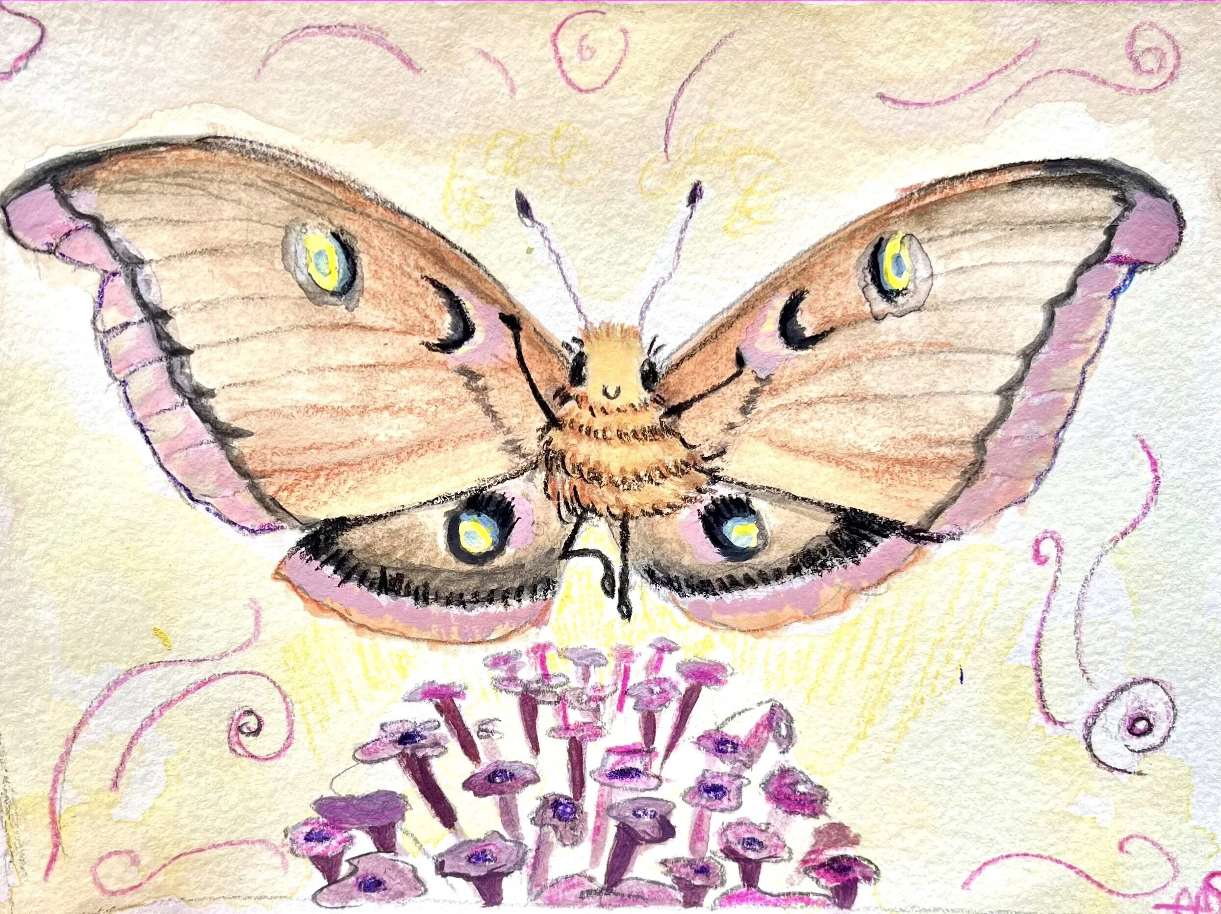Pretty in Pink Moth.jpg