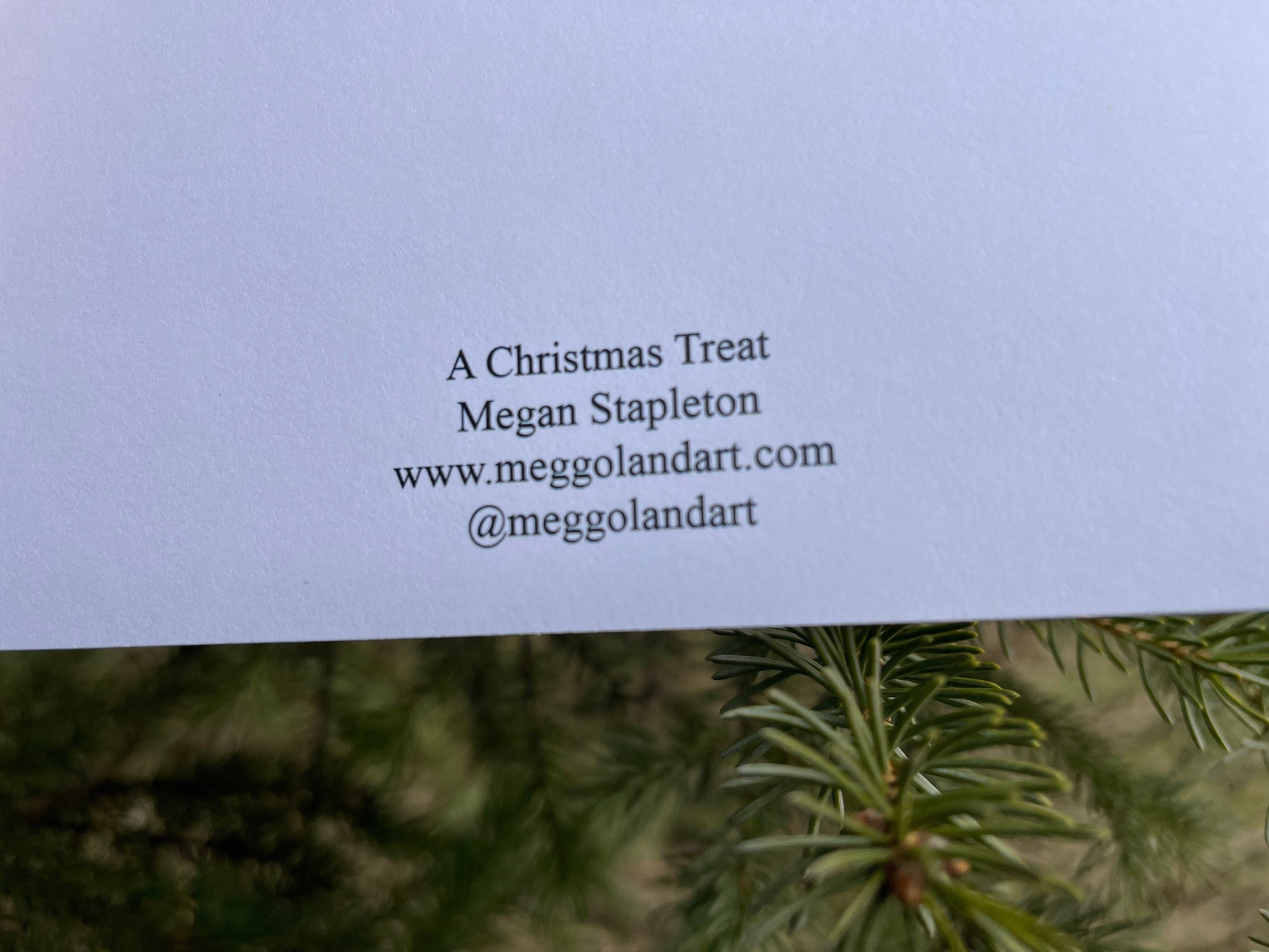 https://i.etsystatic.com/10436060/r/il/401667/3524715705/il_fullxfull.3524715705_aykk.jpg