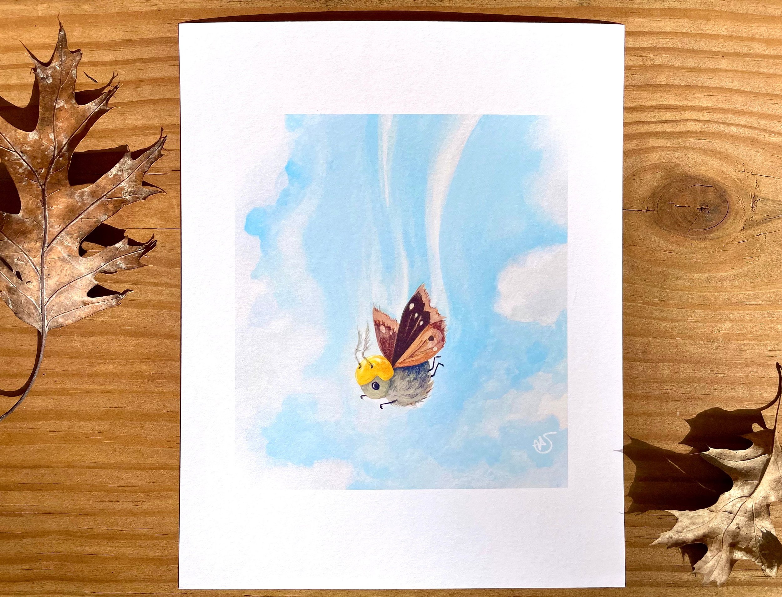 Skydive Moth Series - FREEFALL Print
