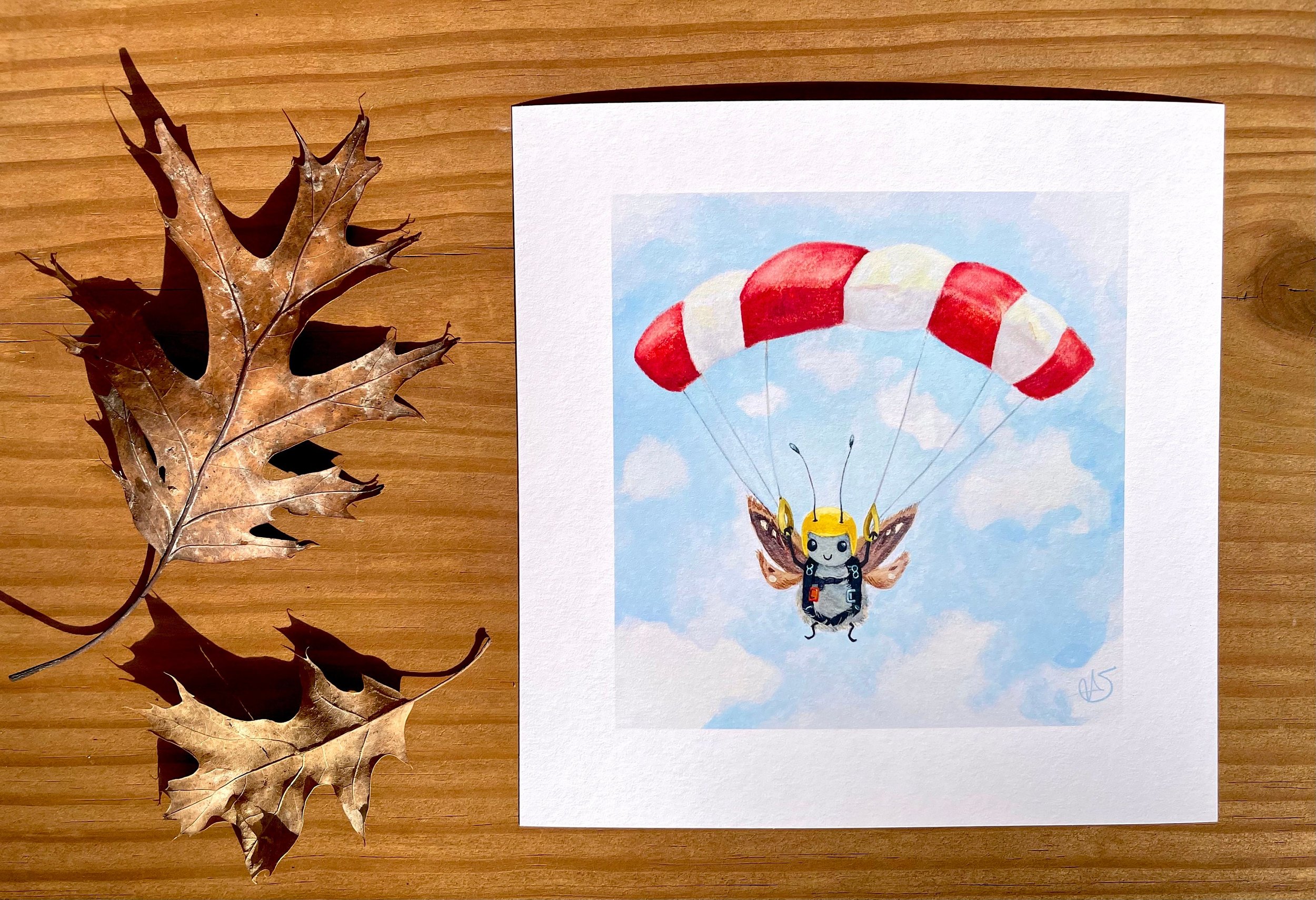 For Sarah - (2) 12x12 Prints