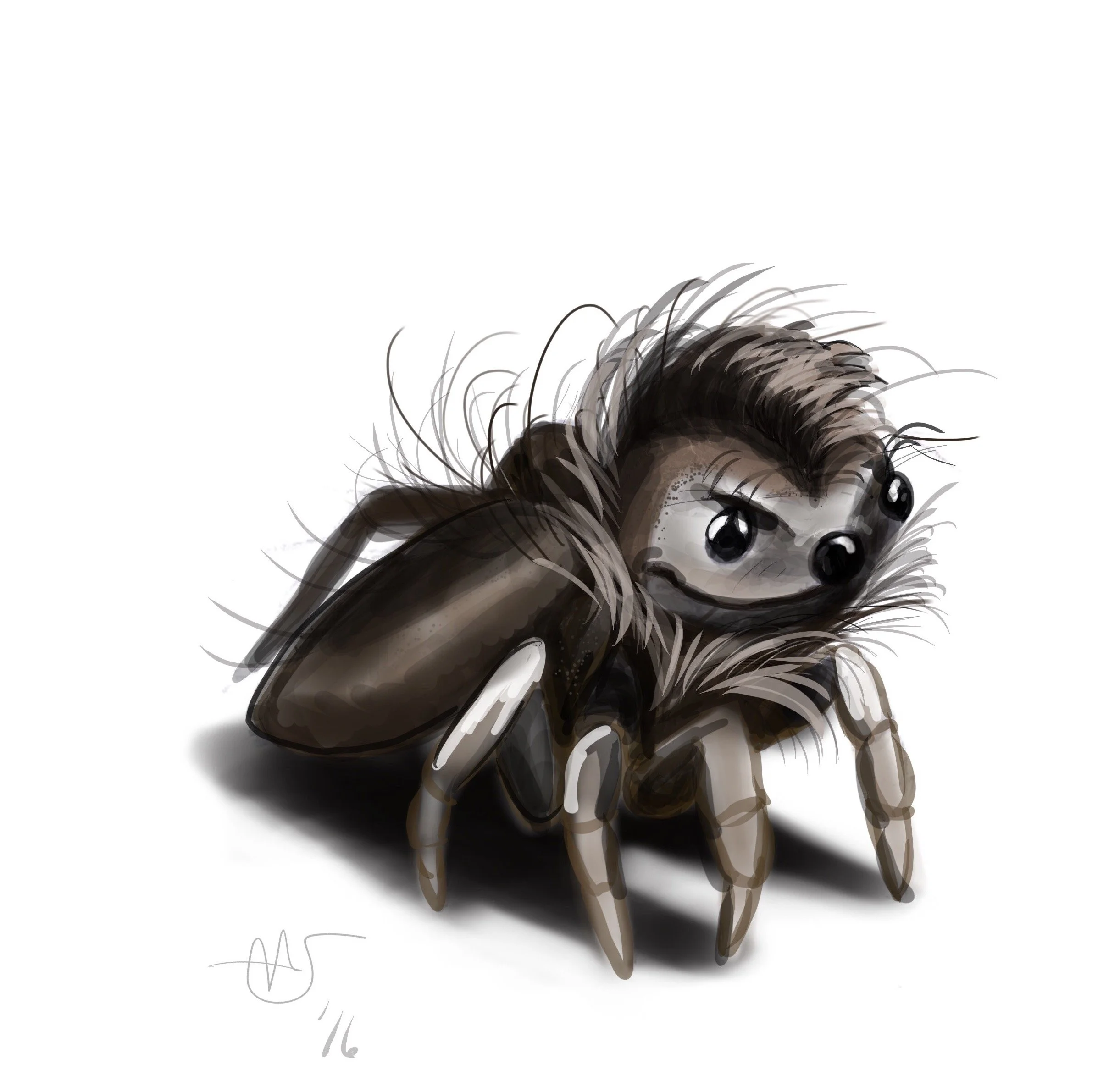 Spider Cool.JPG