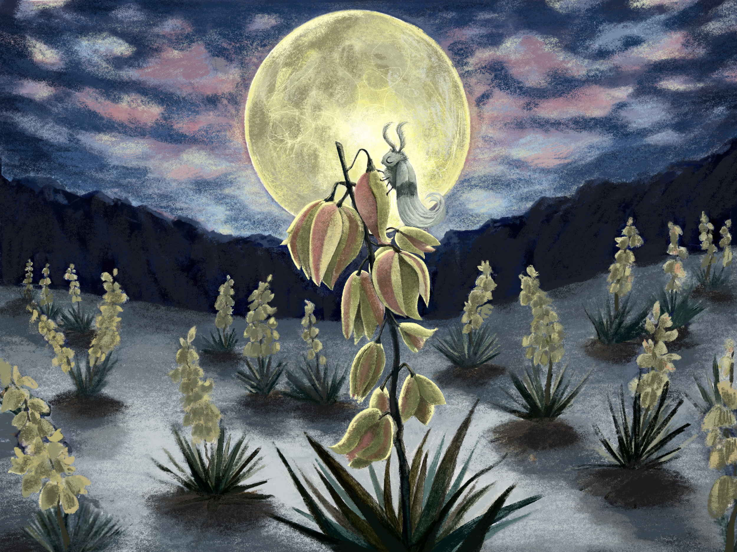 IMG_0192.PNG