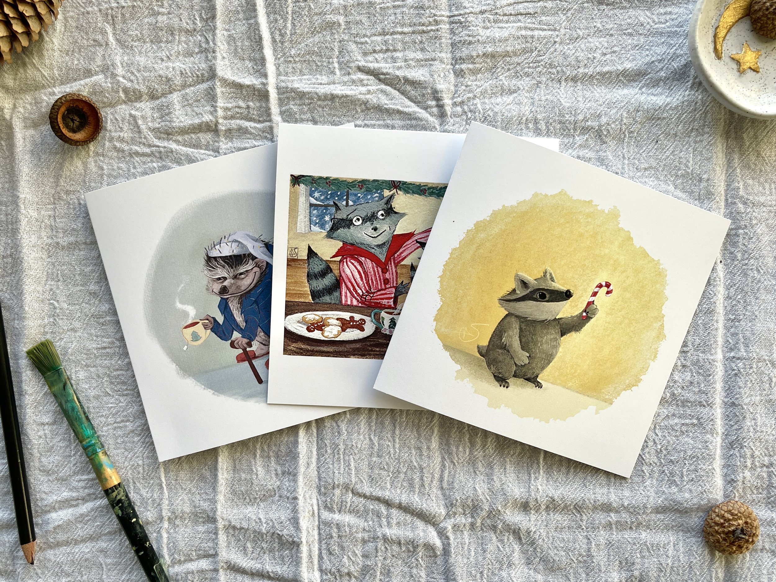 The Cozy Collection - Variety Pack