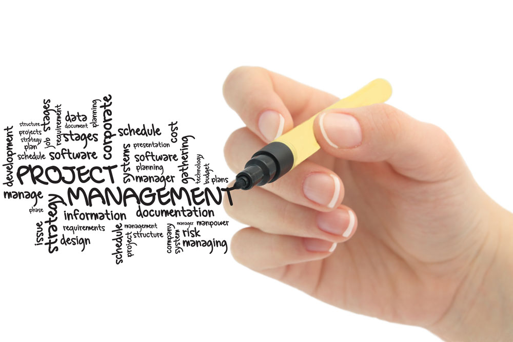 Setting an Effective Project Management Office