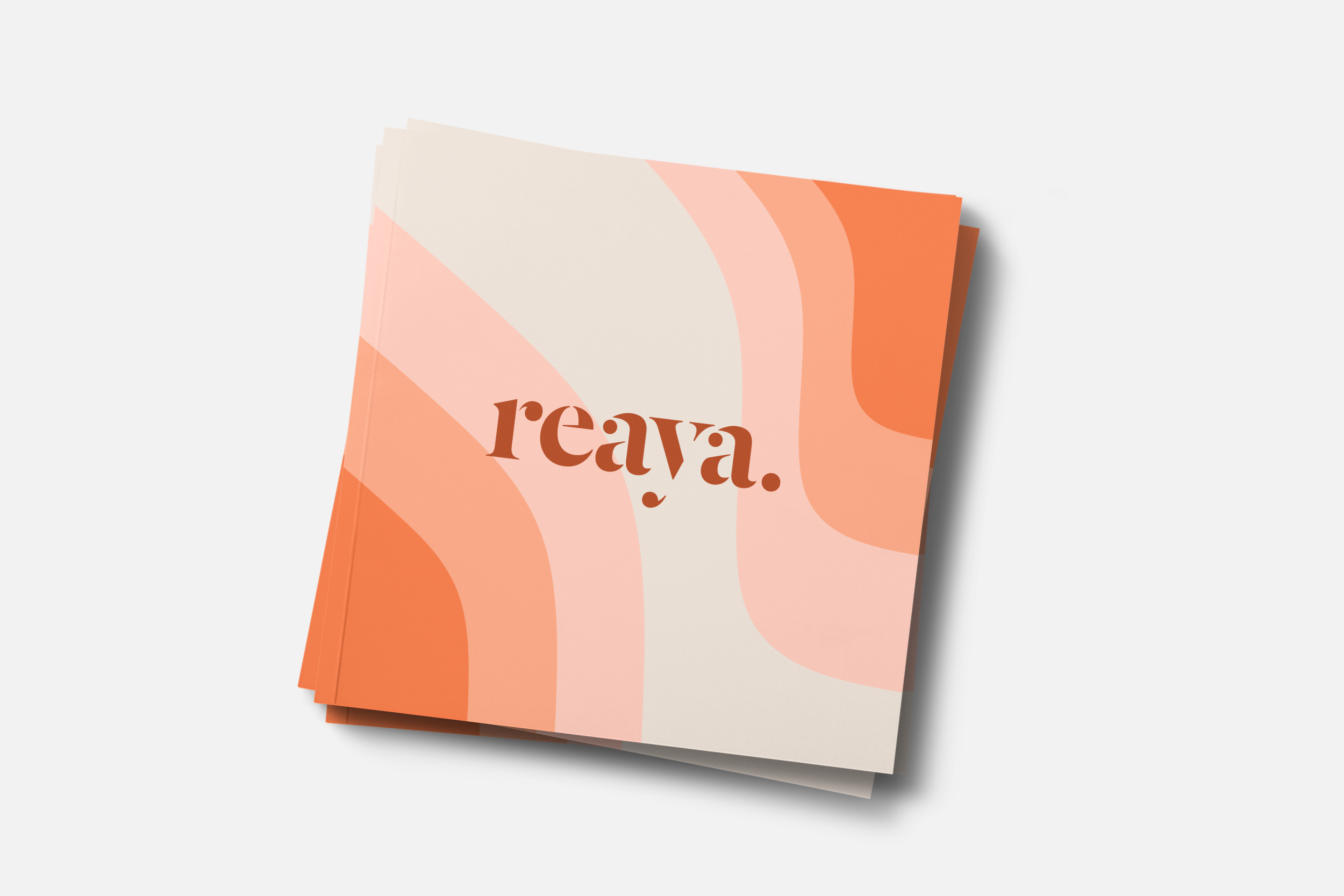 reaya-brochure.png