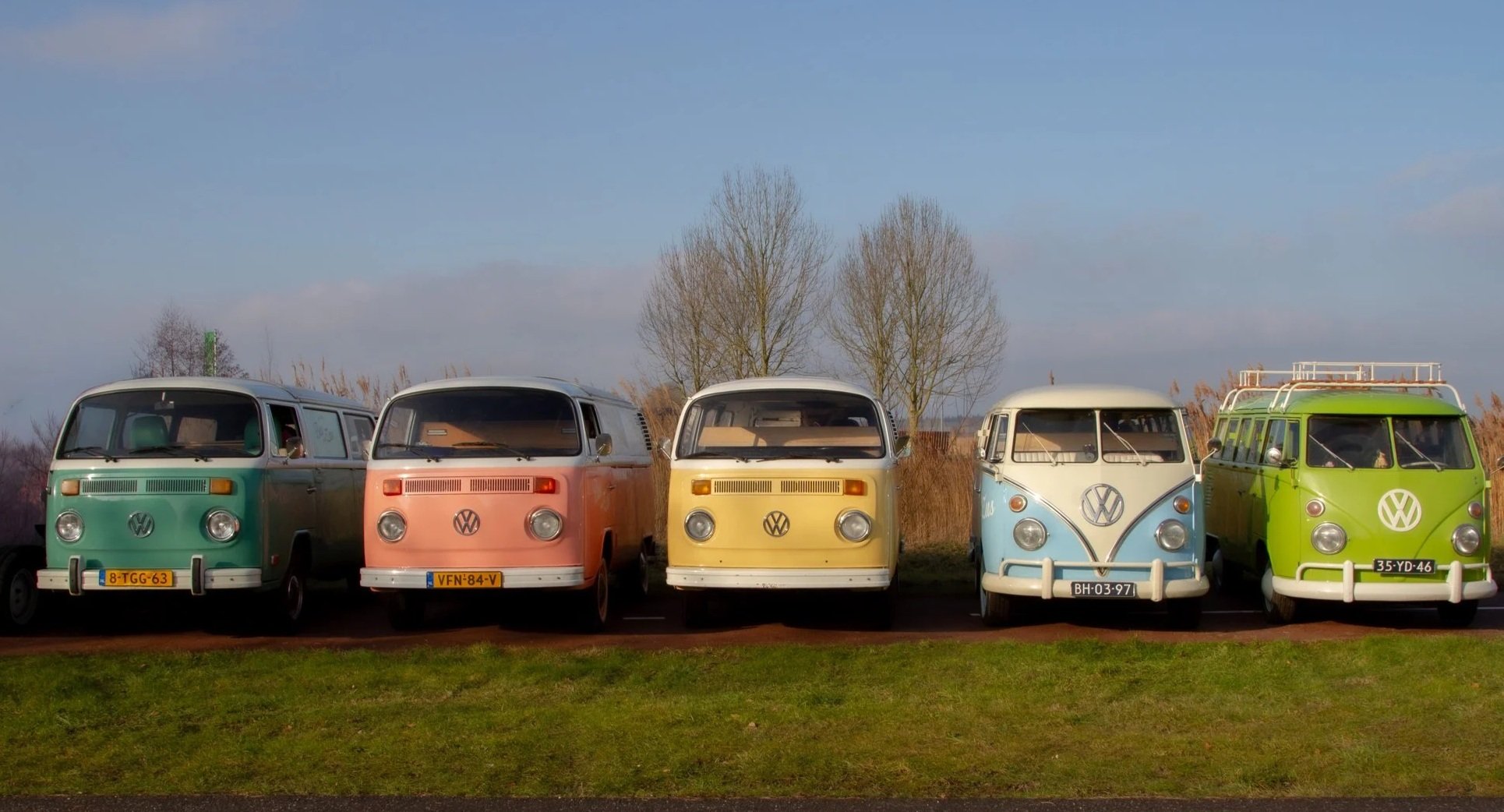 volkswagens.jpg