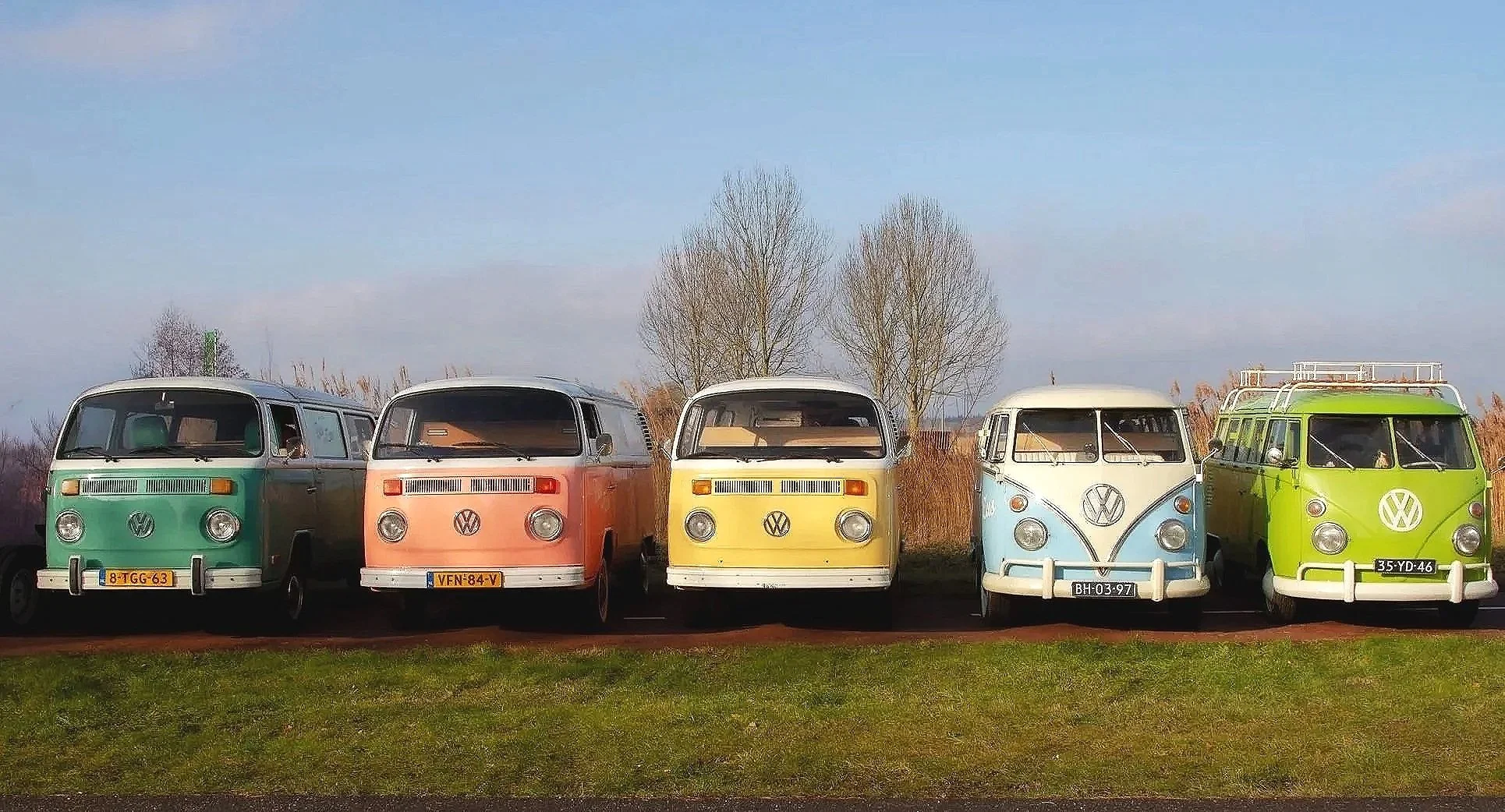 volkswagens.jpg