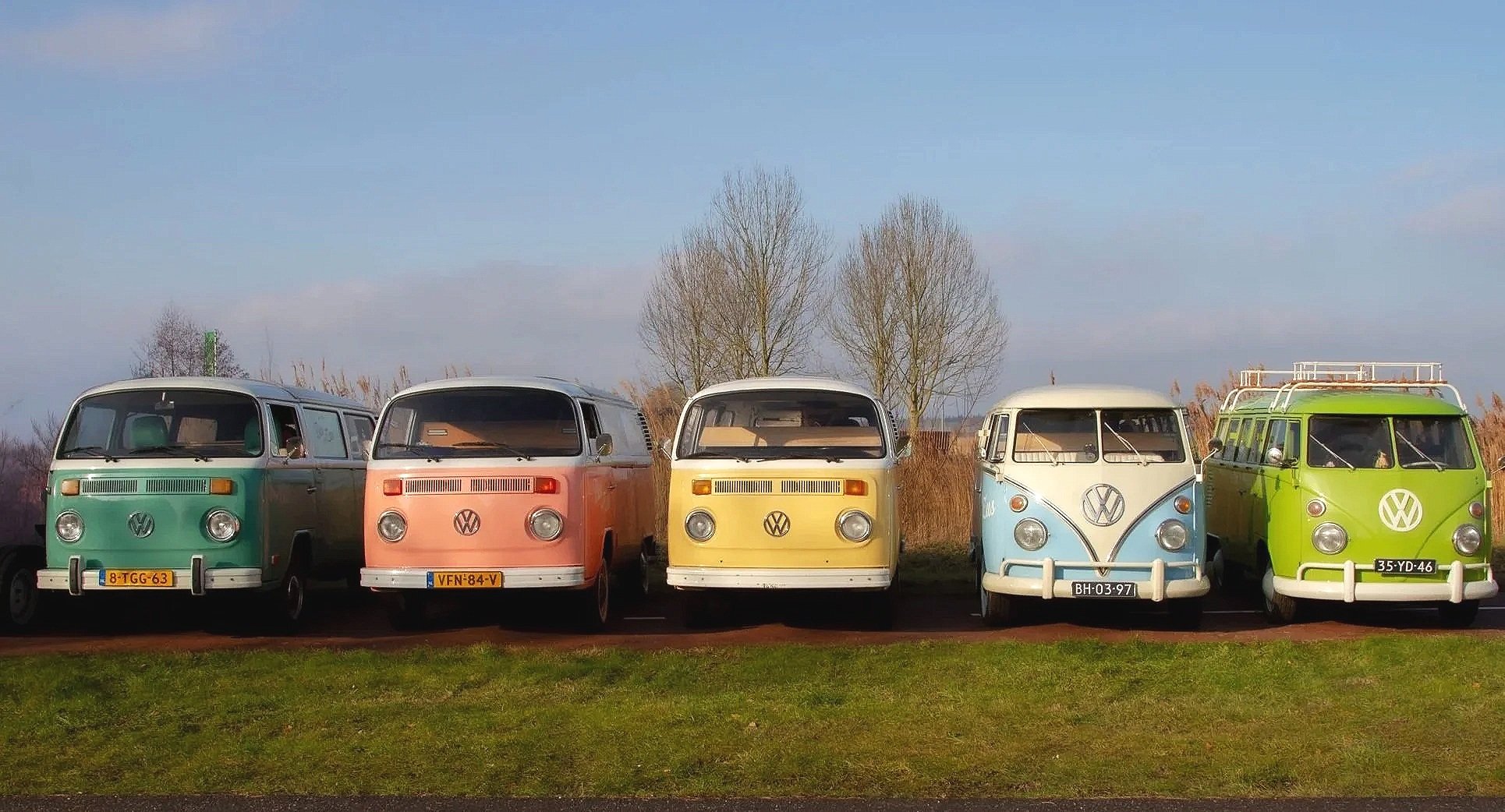 volkswagens.jpg