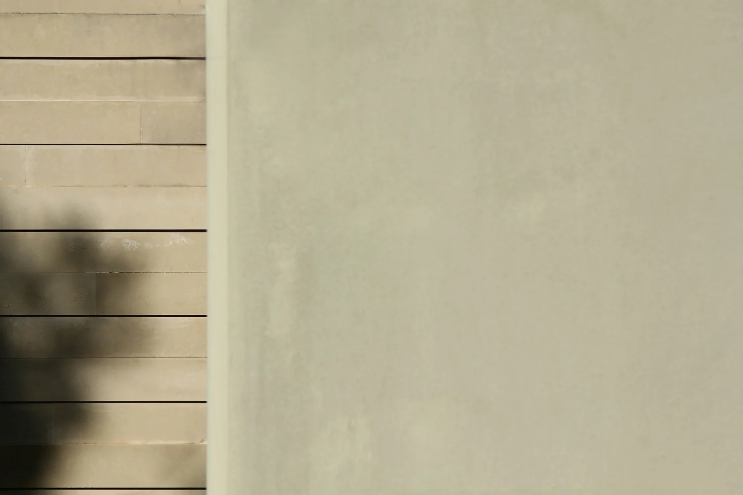 w_the-wall_1.jpg