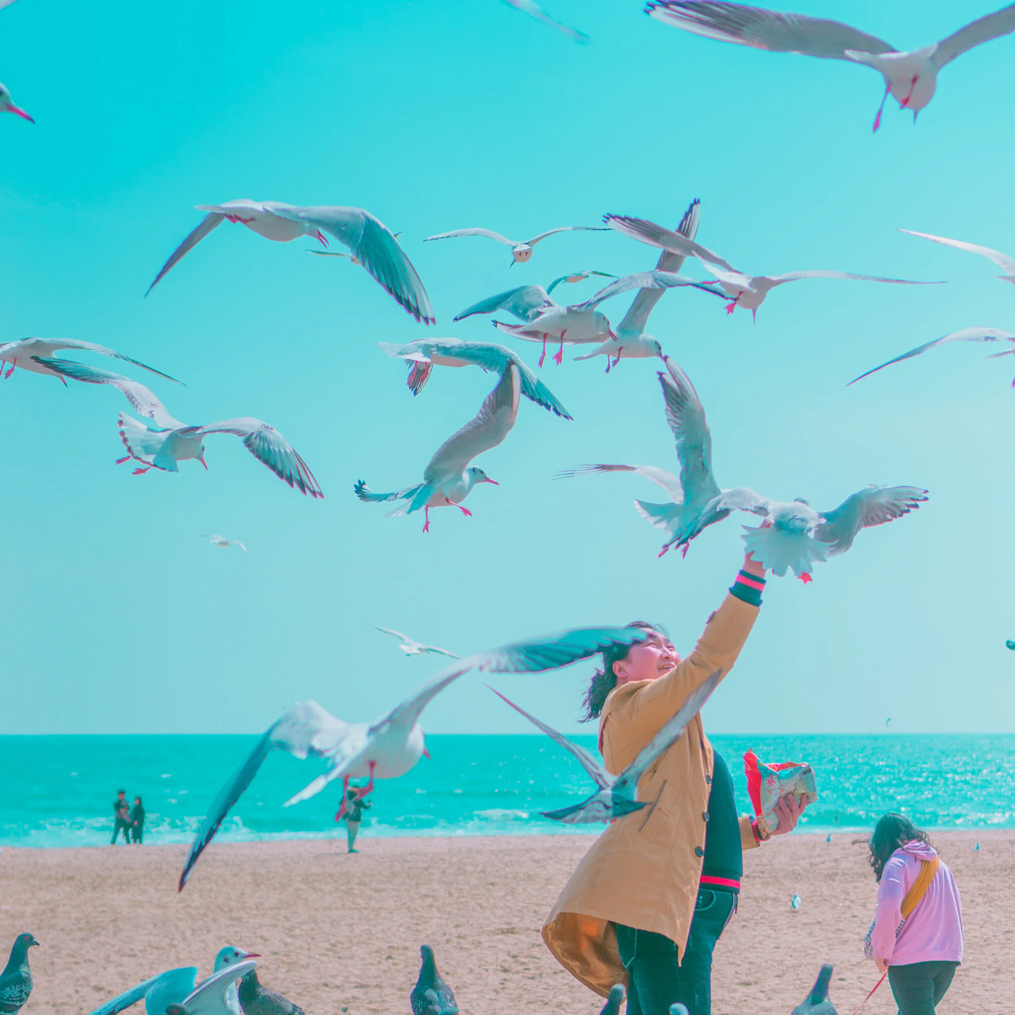 busan.jpg