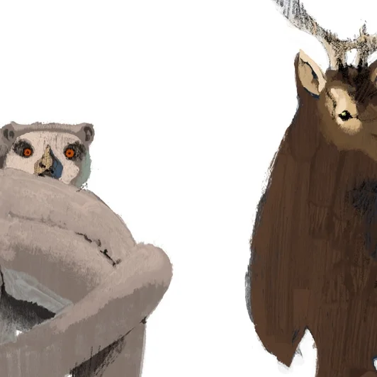 Observer-AnimalSpecies-MarcAspinall-TheTreeHousePress-TTHP.jpg