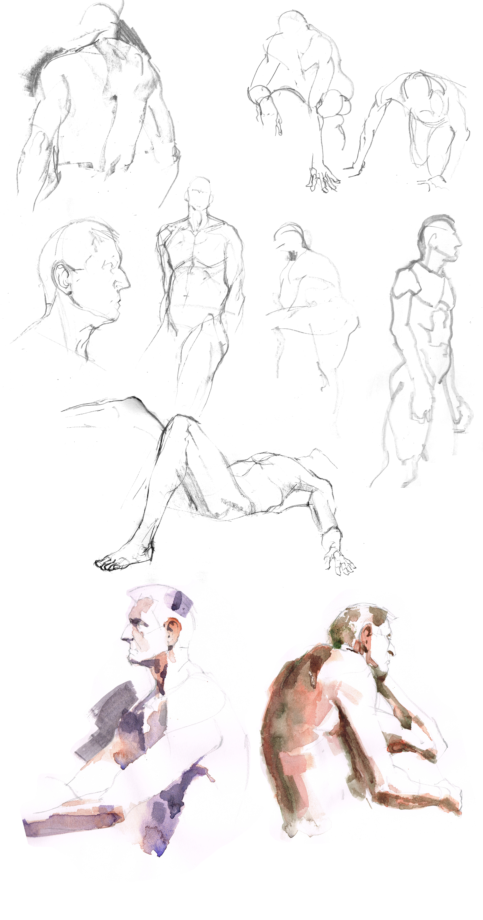 Practicing how to draw male body : r/BeginnerArtists