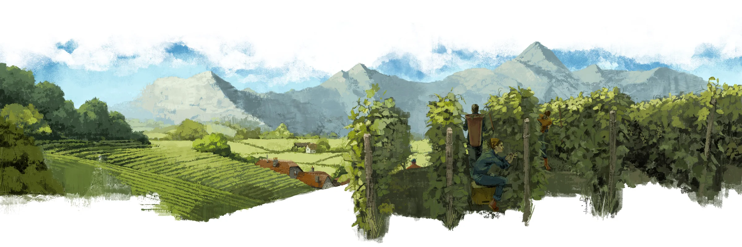 Back to basics wine making for Centurion Magazine by Marc Aspinall 