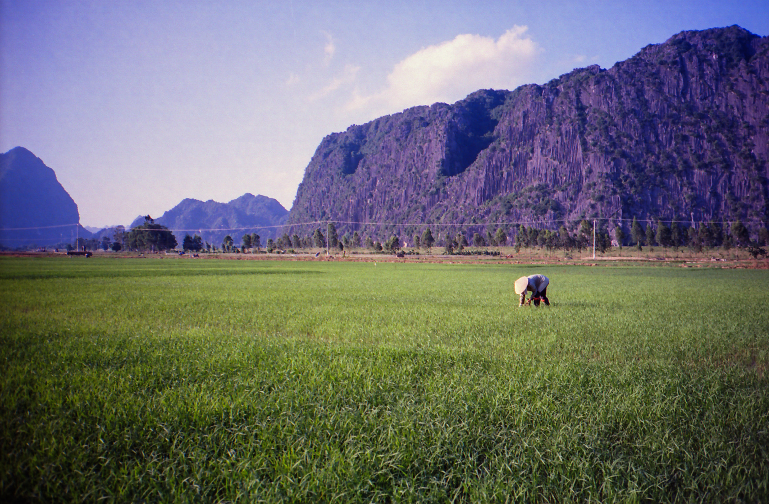 2016_09_04_ContaxT2_Portra400_ReisVietnamTessa(2)-8.jpg