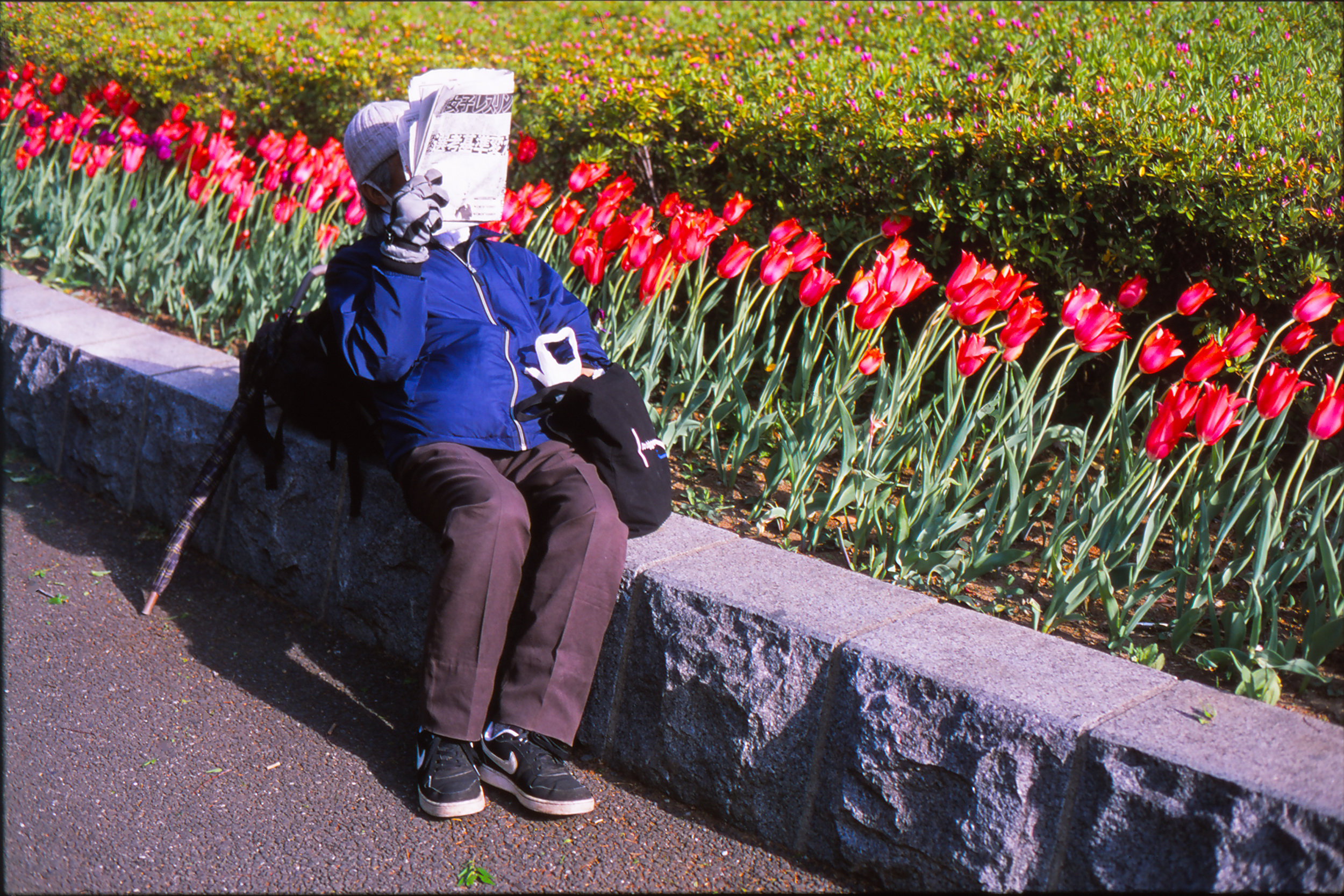 2018_04_23_EOS30_Provia100F_Tokio(4)-11.jpg