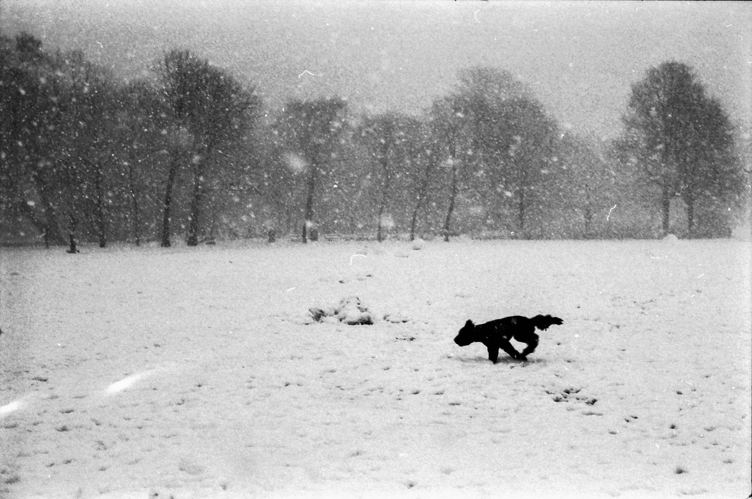 2018_01_18_LeicaM4-2_HP5-7.jpg