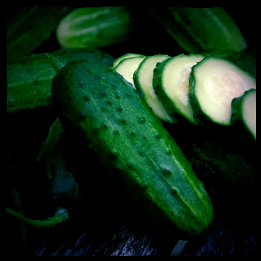 Cucumber