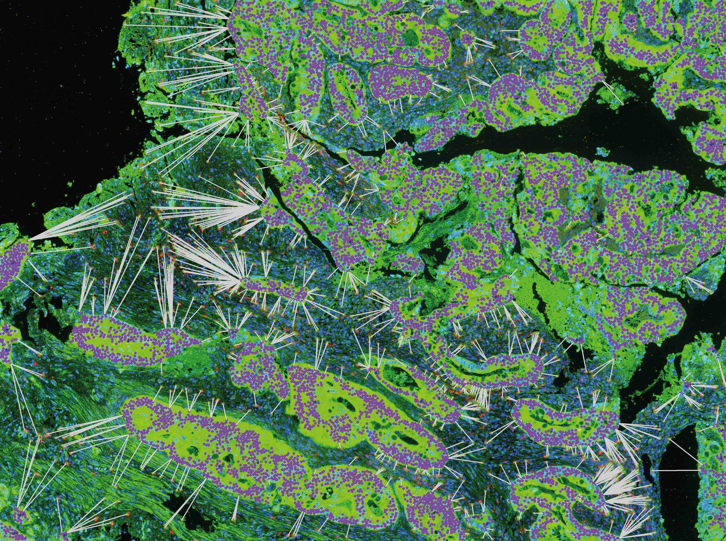 MANGGEI COMMUNICATIONS PRESSEINFO: Digitale Biomarker revolutionieren Behandlung von Patienten