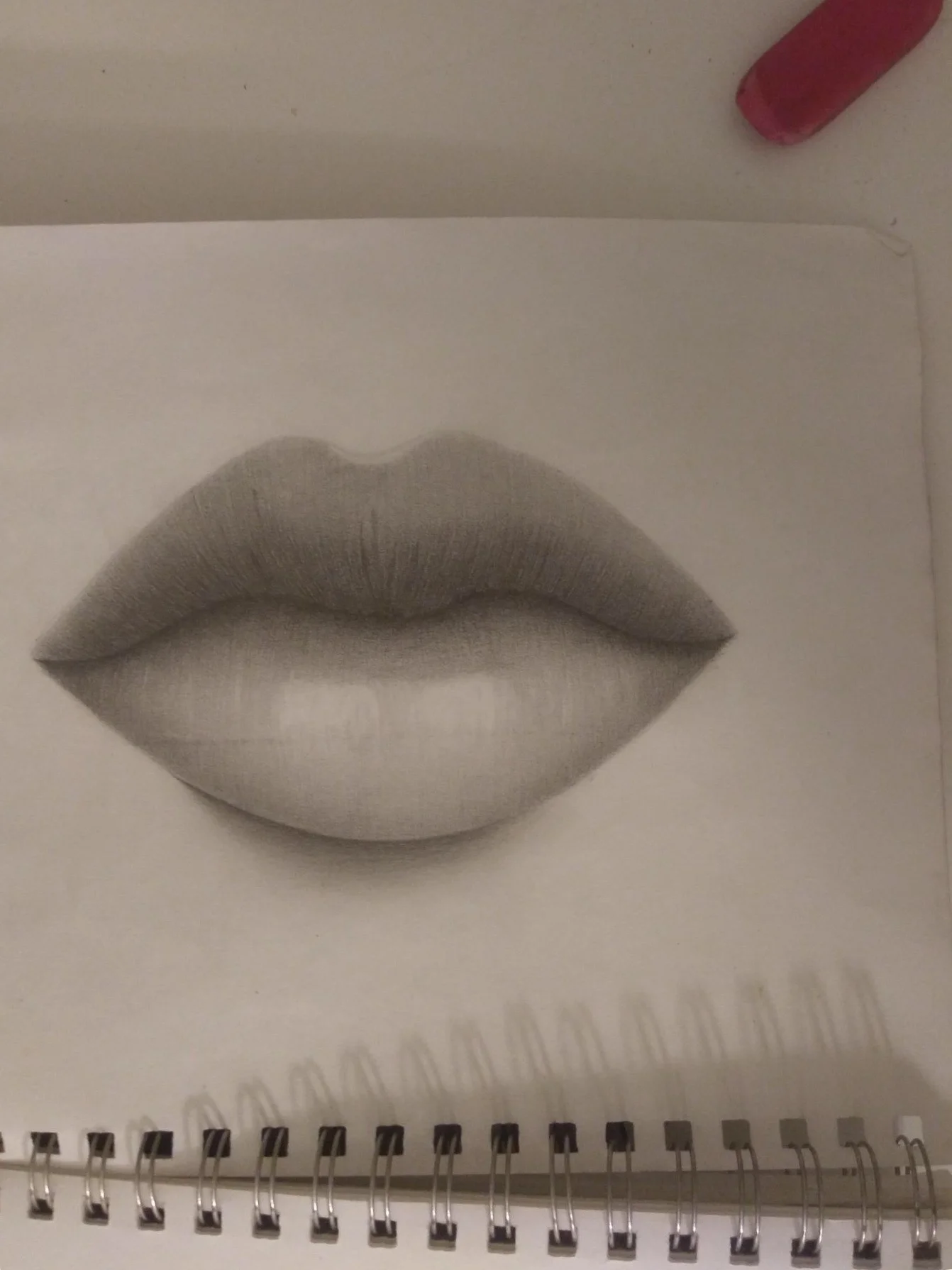 Pencil, still life. Age 14