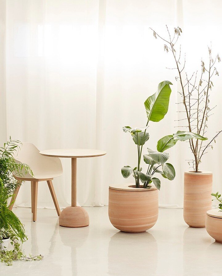 Discover the beautiful Lur collection, a collaborative effort between @alki_furniture  and local ceramics expert @poteriegoicoechea . With a focus on combining the natural beauty of wood and terracotta, the Lur collection offers a range of functional