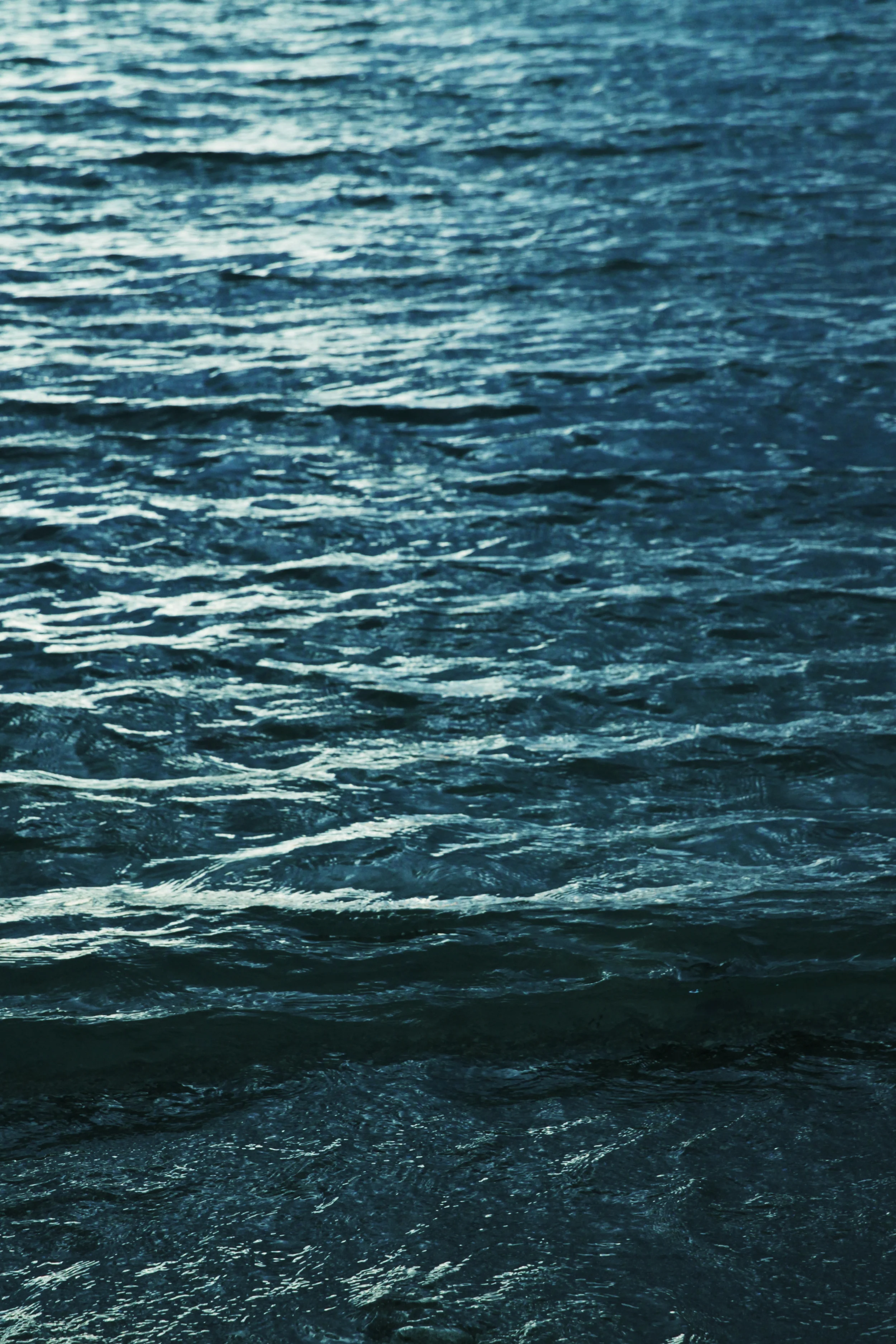 aIMG_3073a.JPG