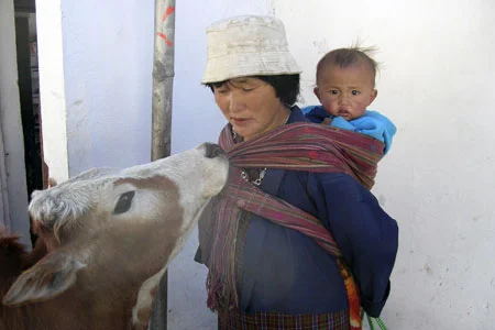 OA-AQ045_Bhutan_20080116161926.jpg