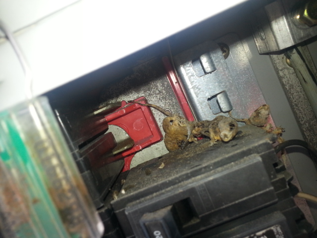 20150406_121924.jpg