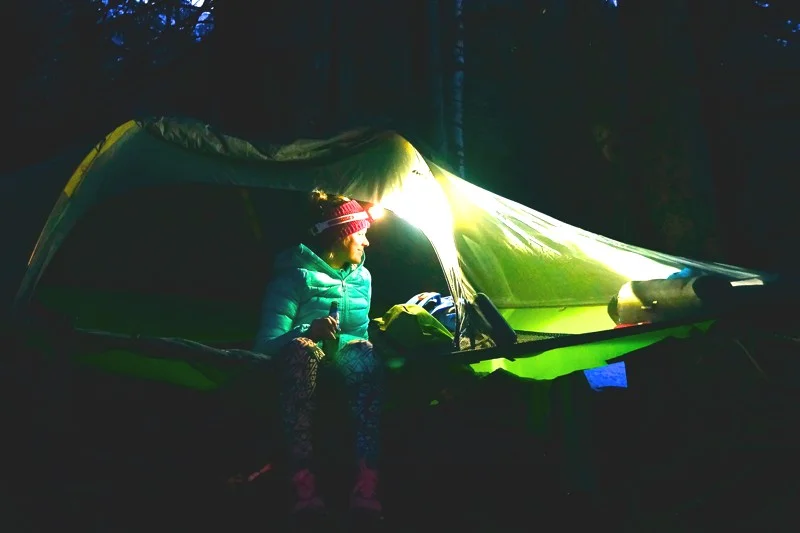 A night in the trees