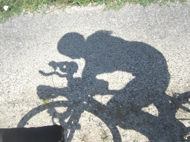 "When I'm on a bicycle the world is breaking someone else's heart"