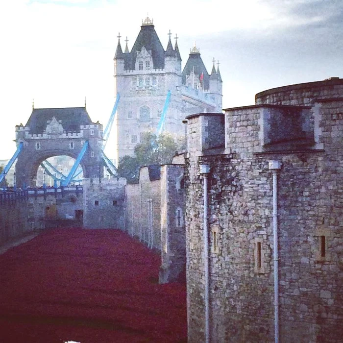 Running London and Remembrance Day