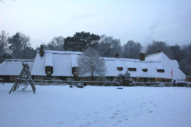 La Maison Des Grands Arbres