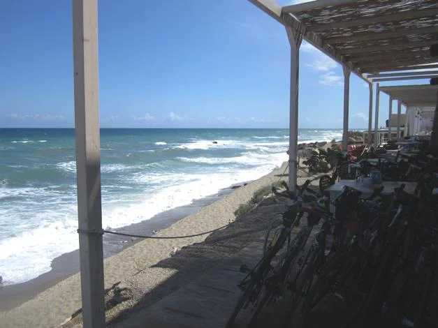 Bikes outside cafe