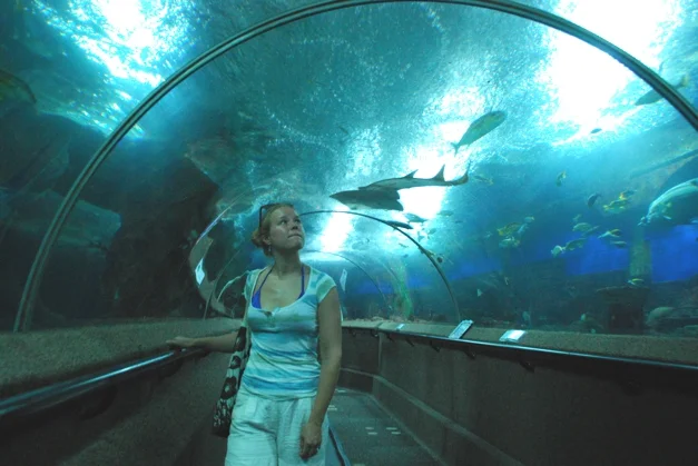 Moving walkway under the 'sea'