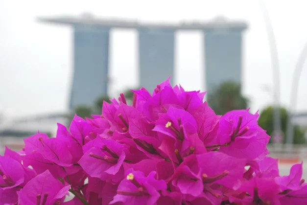 Marina Bay Sands