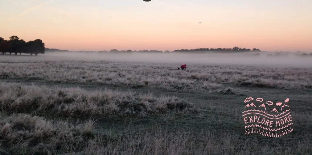 Sunrise Cycle