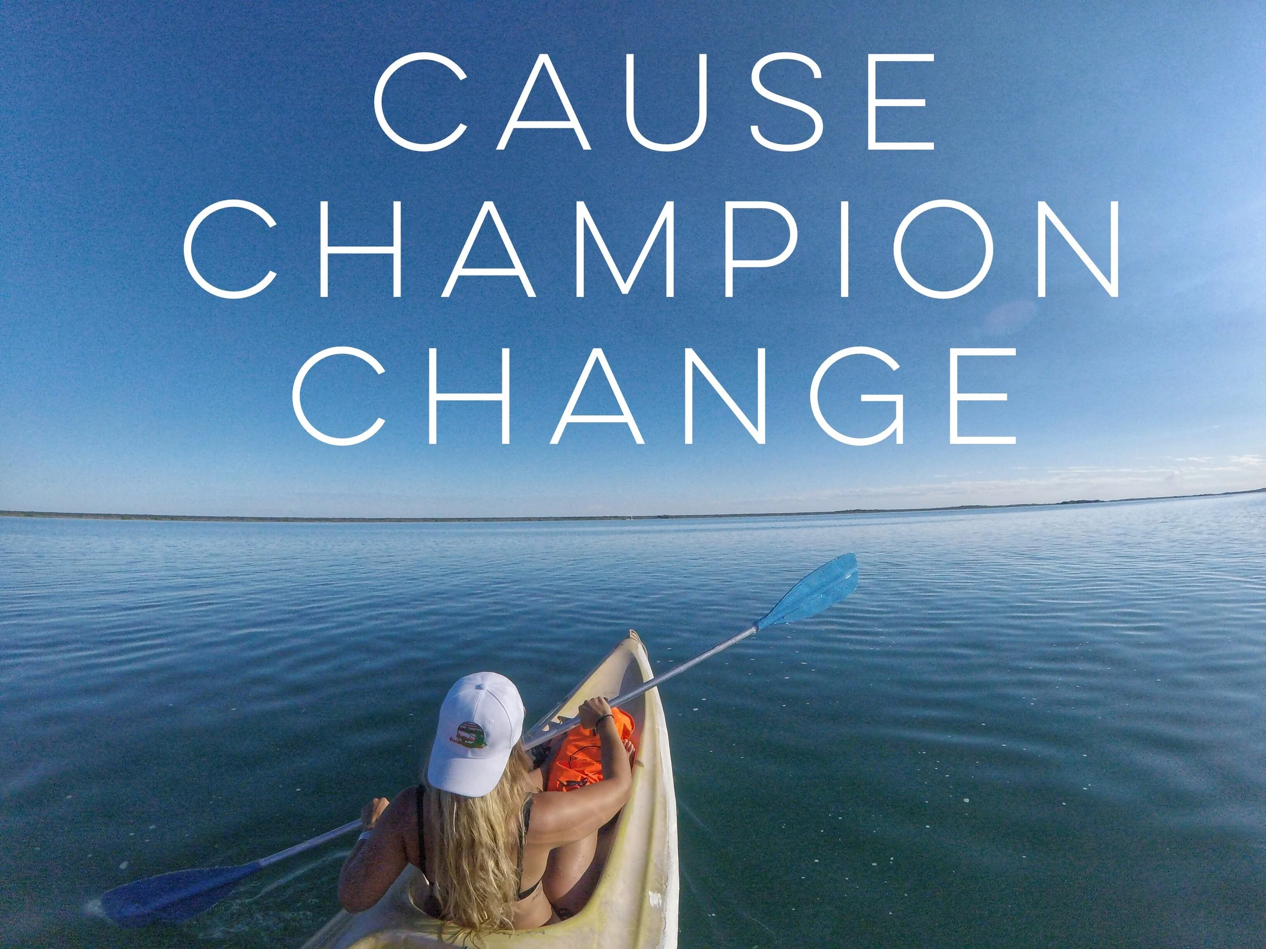The 3 C's: Cause, Champion, Change