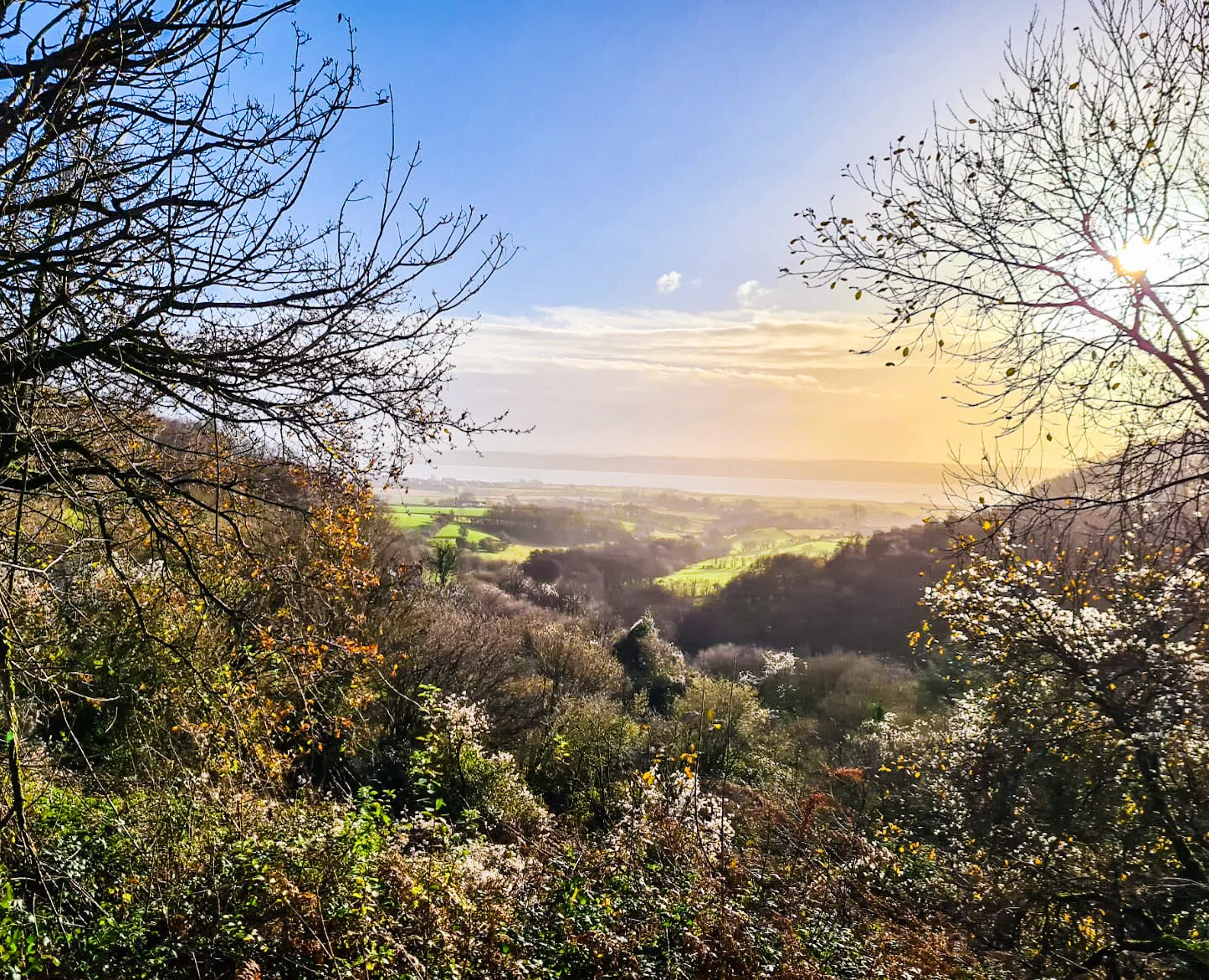 Wonderful Weekend in the Wye Valley and Forest of Dean