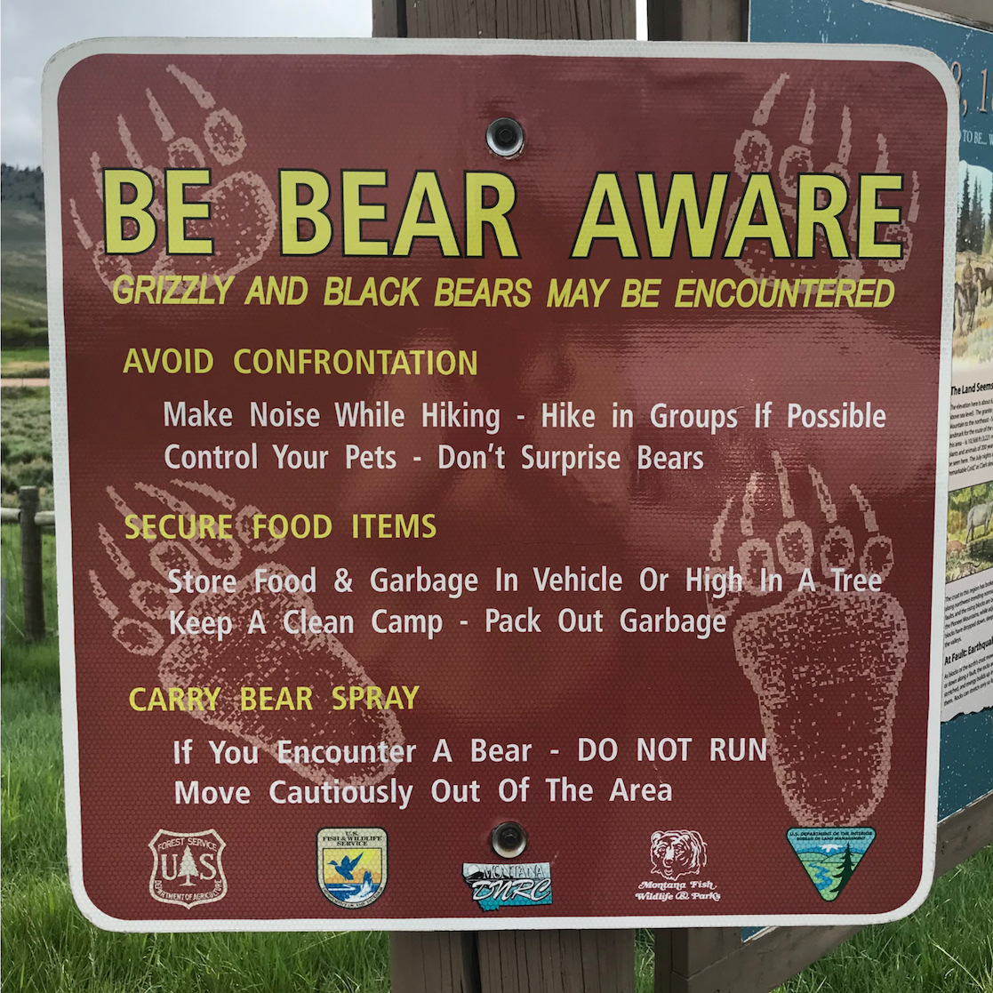 Bear Identification & Signs (Be Bear Aware) - IGBC
