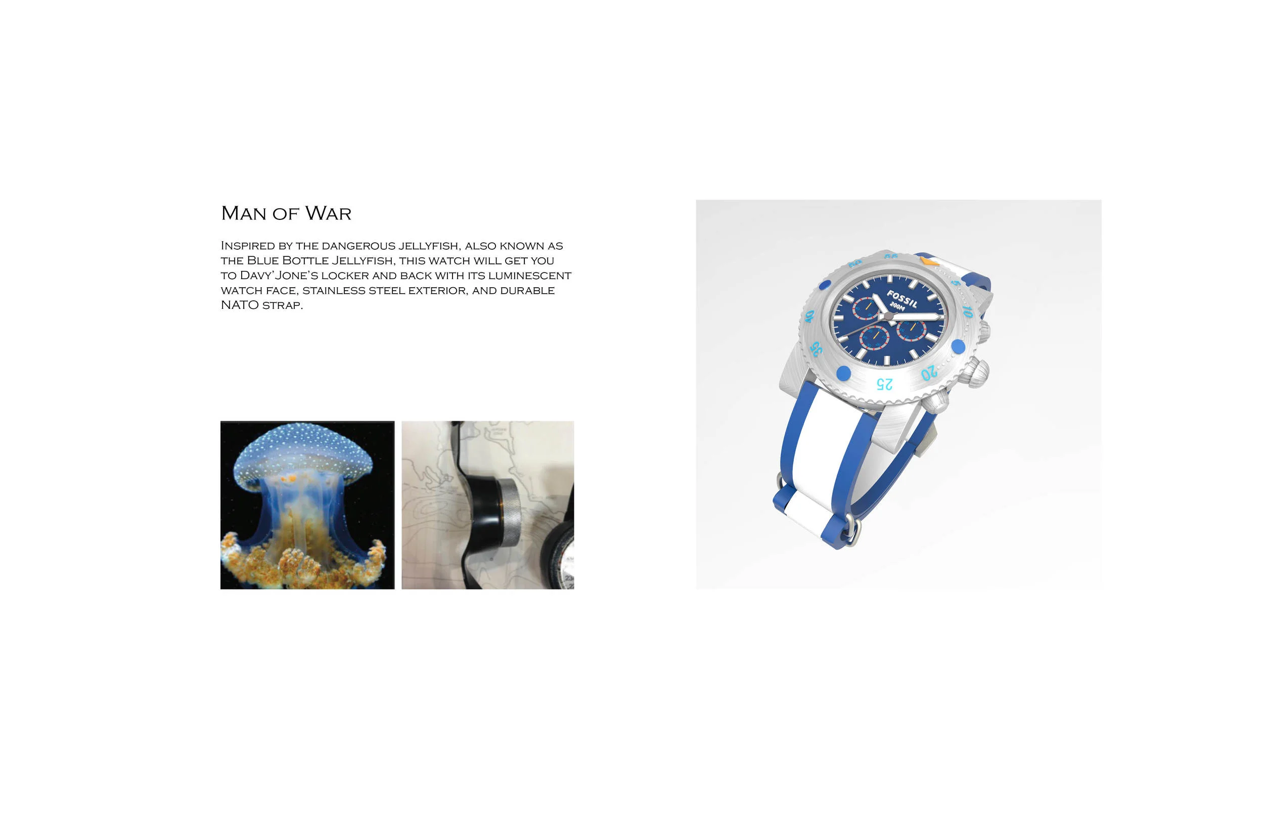 fossil redo square space110.jpg