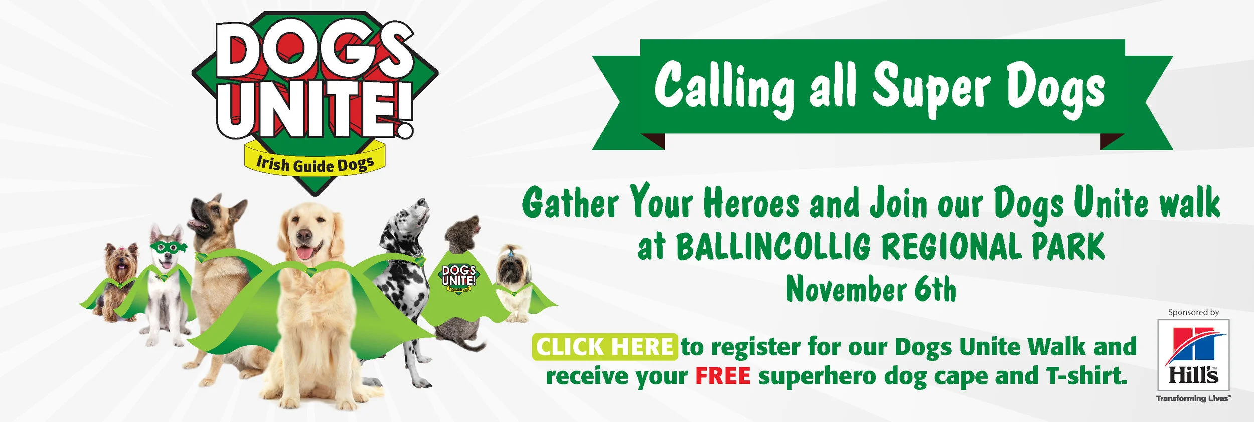 4570702 Irish Guide Dogs Dogs Unite webslider and fb profiler CORK ONLY-01.jpg