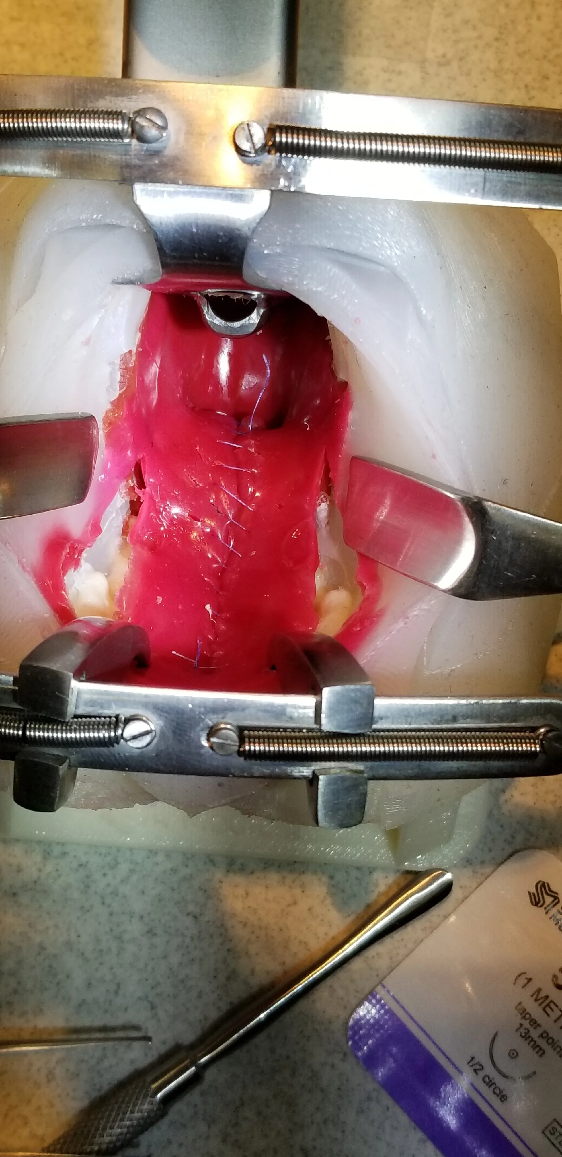 20180322_152445.jpg