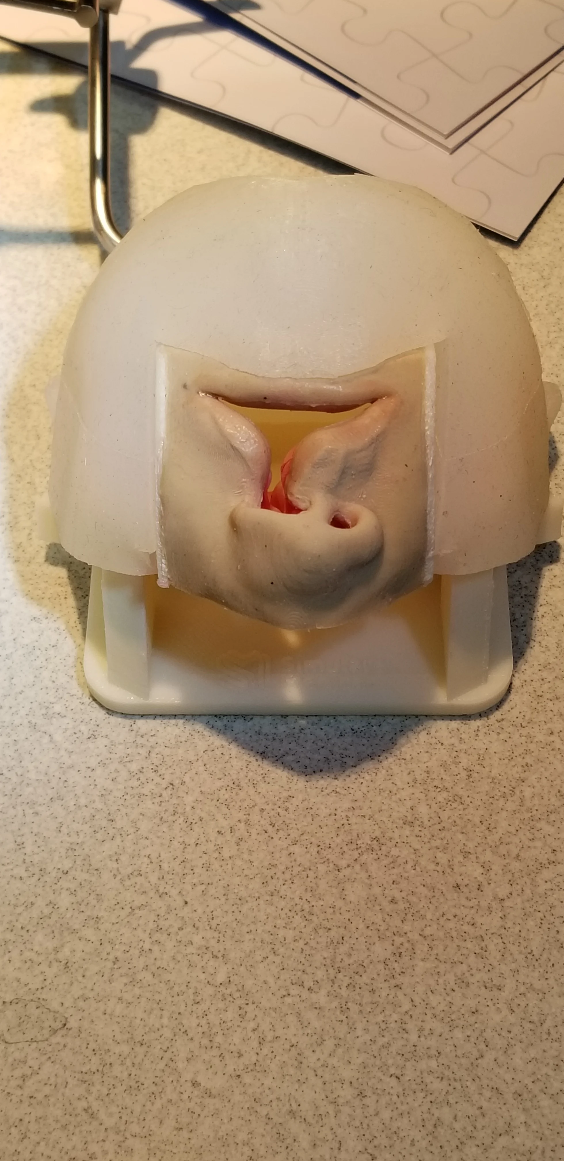 20180322_153802.jpg