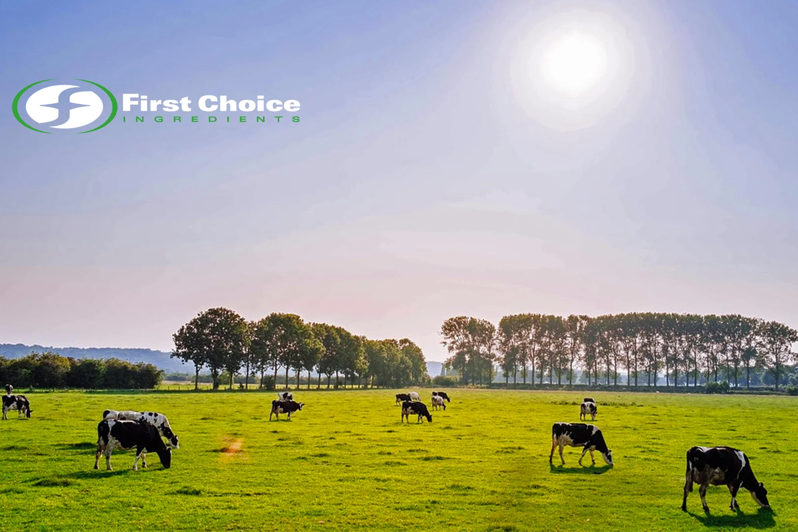 Wisconsin Dairy Farm