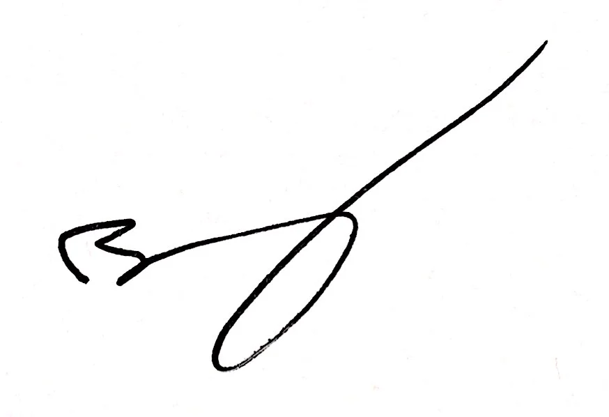 BV_Signature.jpg