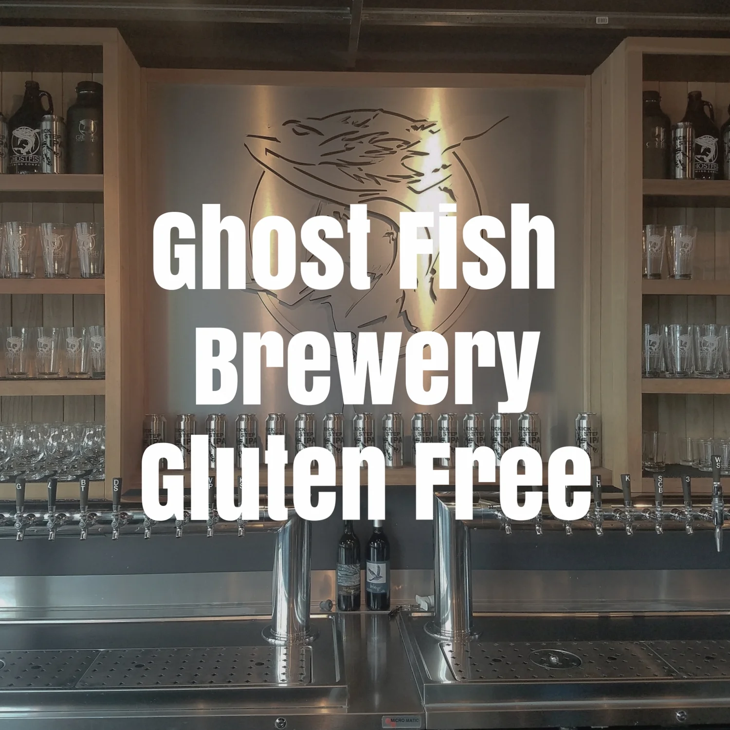 Ghost Fish and Gluten Free Beer - Washington Beer Talk #12 episode artwork