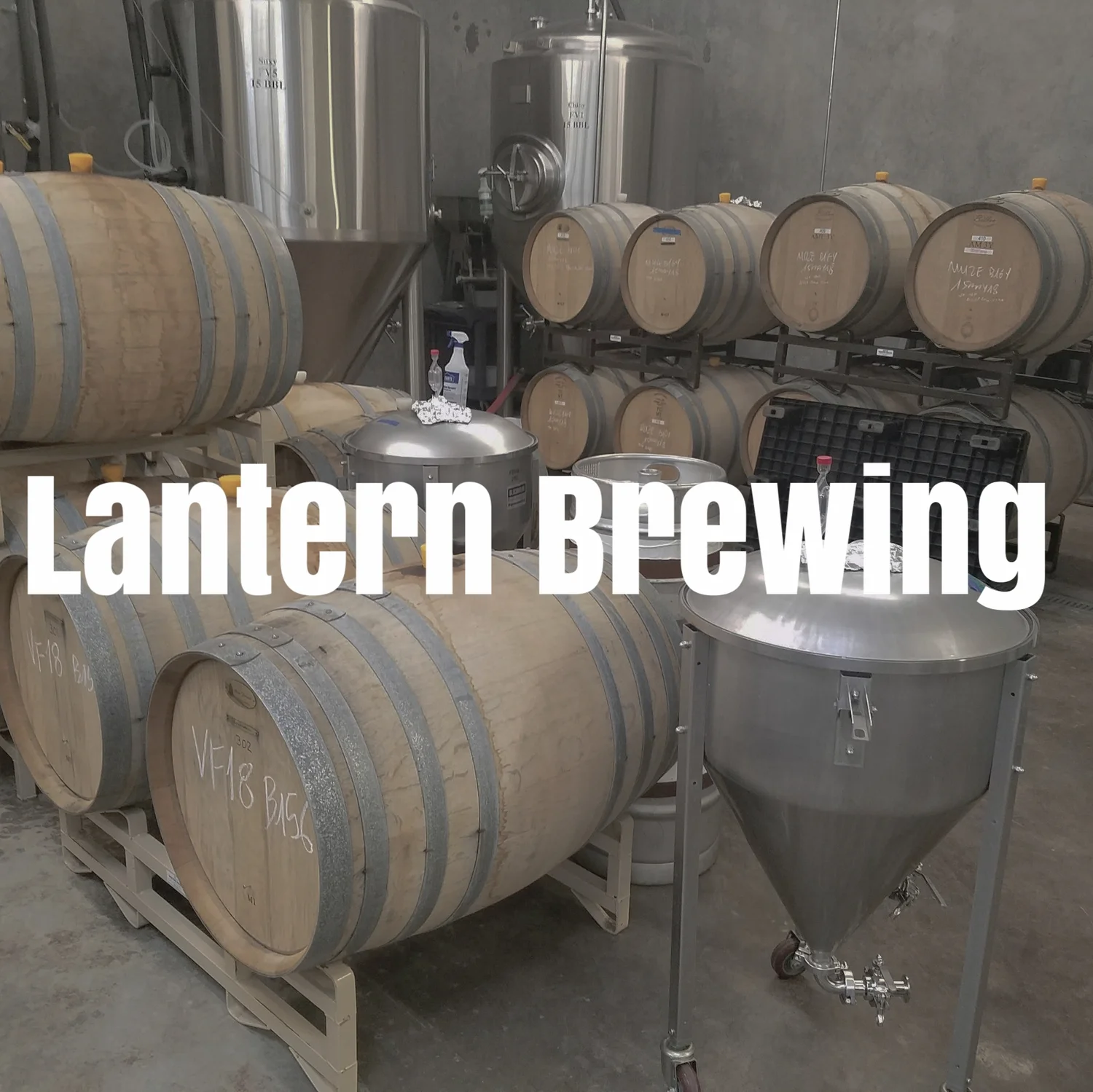 Lantern Brewing French and Belgian Styles - Washington Beer Talk #13 episode artwork