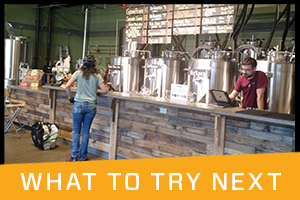 10 Neighborhood Breweries to Try This Weekend - Seattle and Beyond