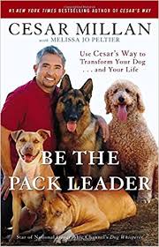 be the pack leader.jpeg